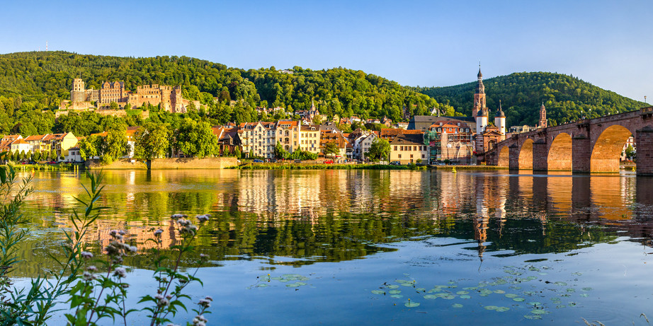Heidelberg_Panorama.jpeg